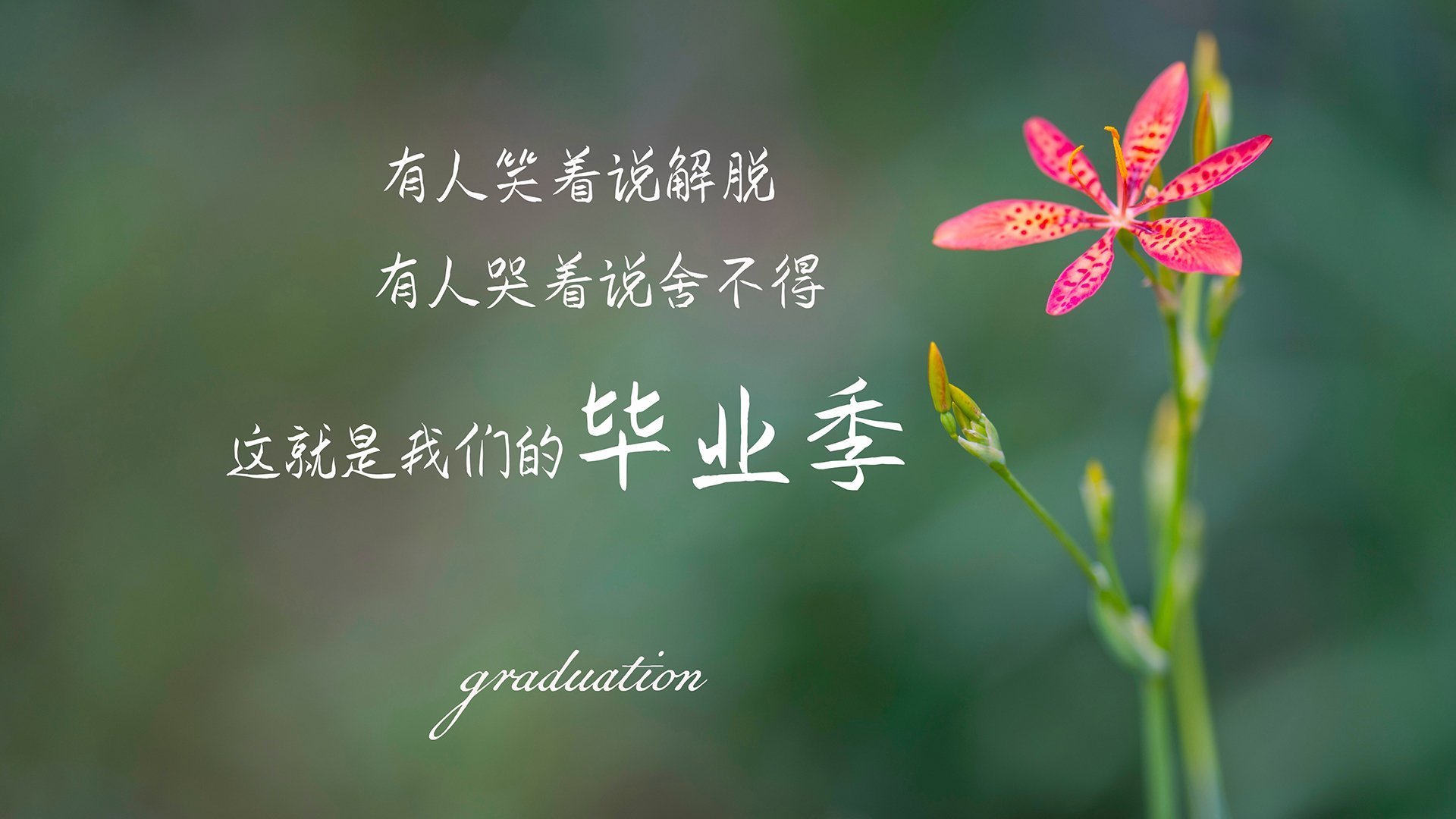 基于大数据的学生体育健康评估模型构建，体育大数据应用