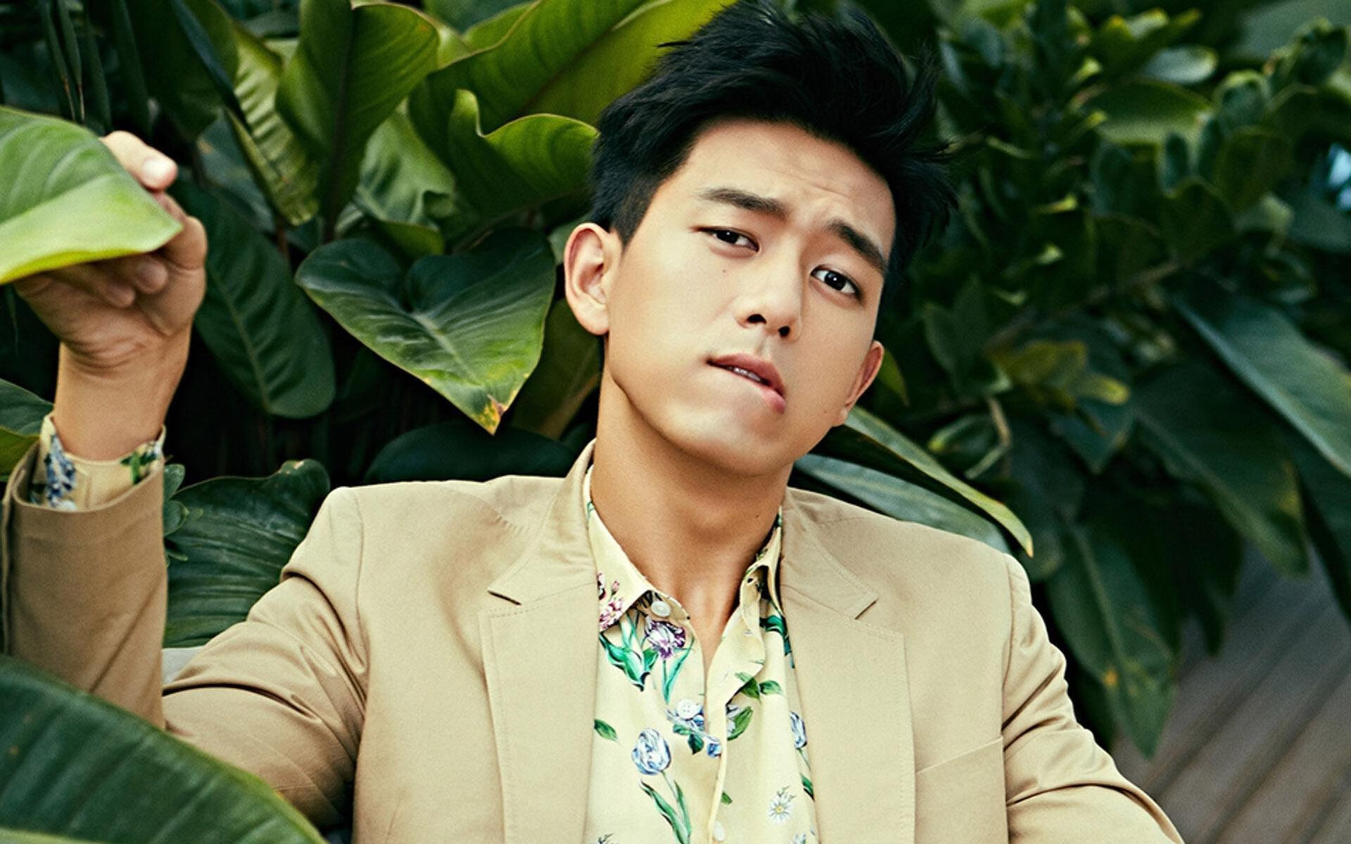 球场安全:未来球场与安保新思路,球场防护