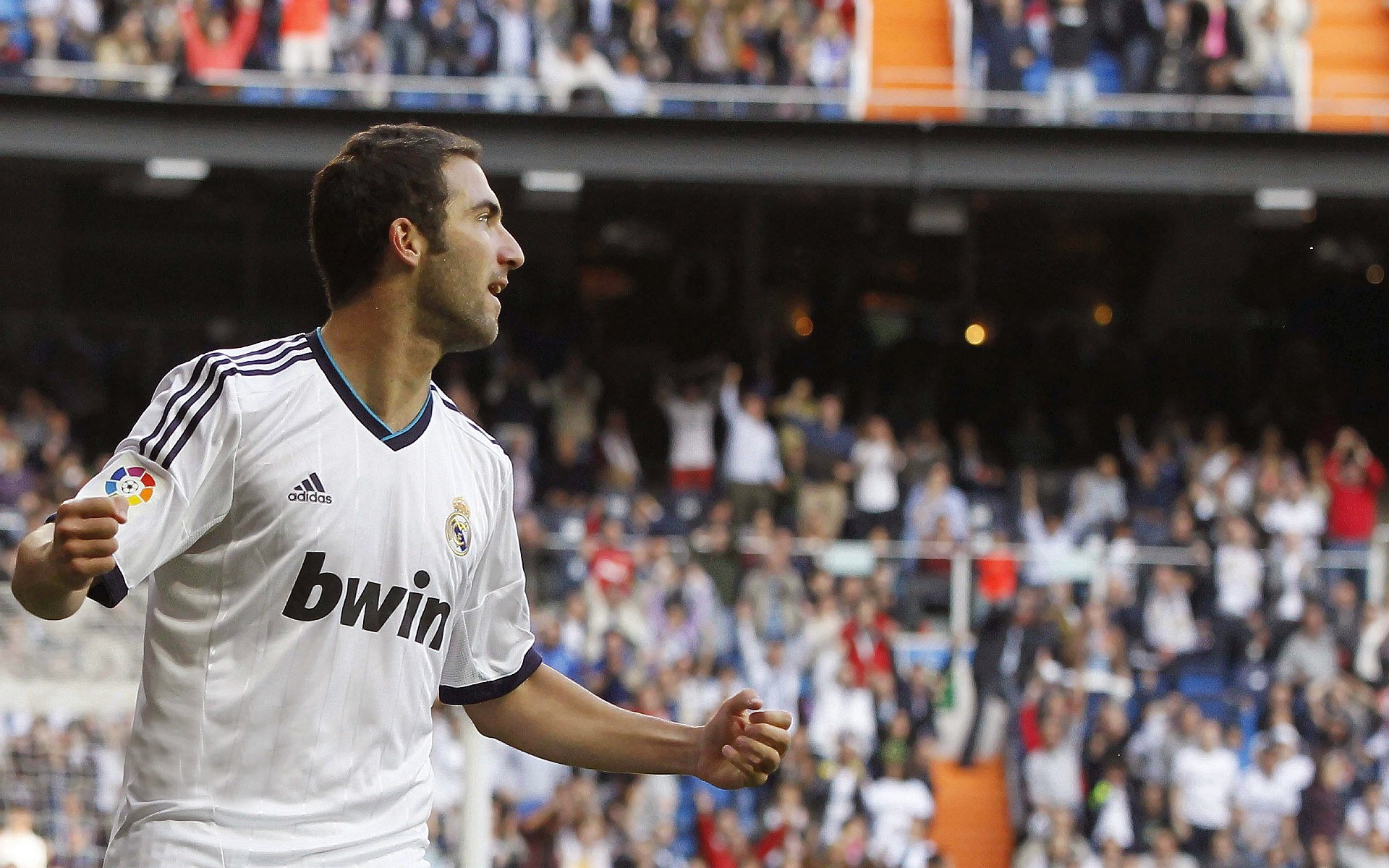 球场安全:未来球场与安保新思路,球场防护