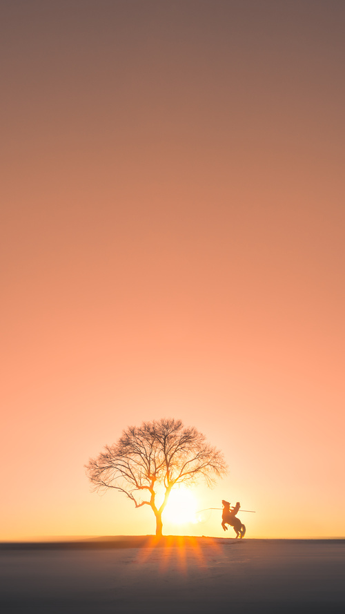 篮球运动员训练计划科学制定及执行效果跟踪研究,2020年篮球训练计划