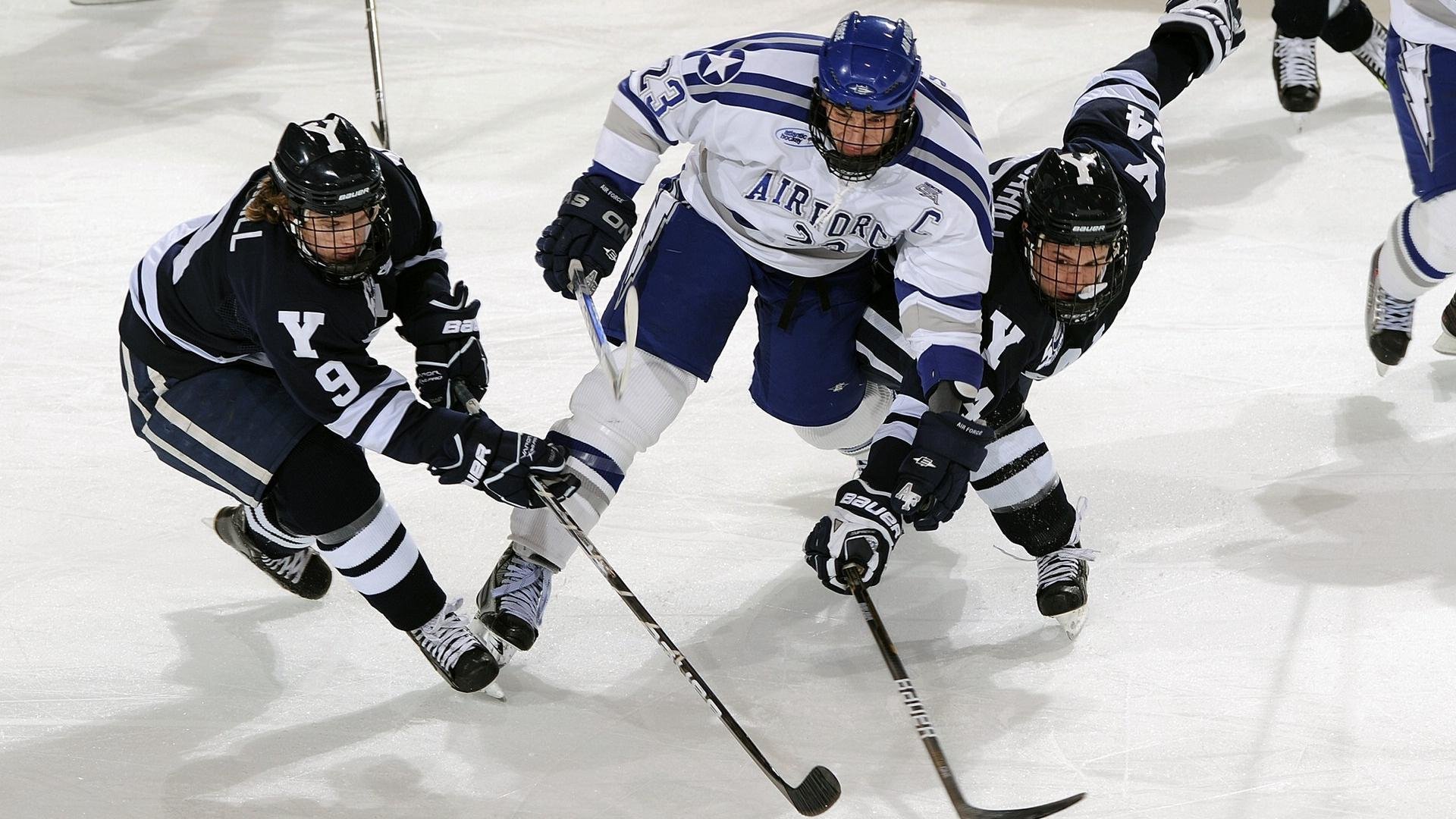 运动员健康管理:从训练到康复的全流程,运动员康复训练方法