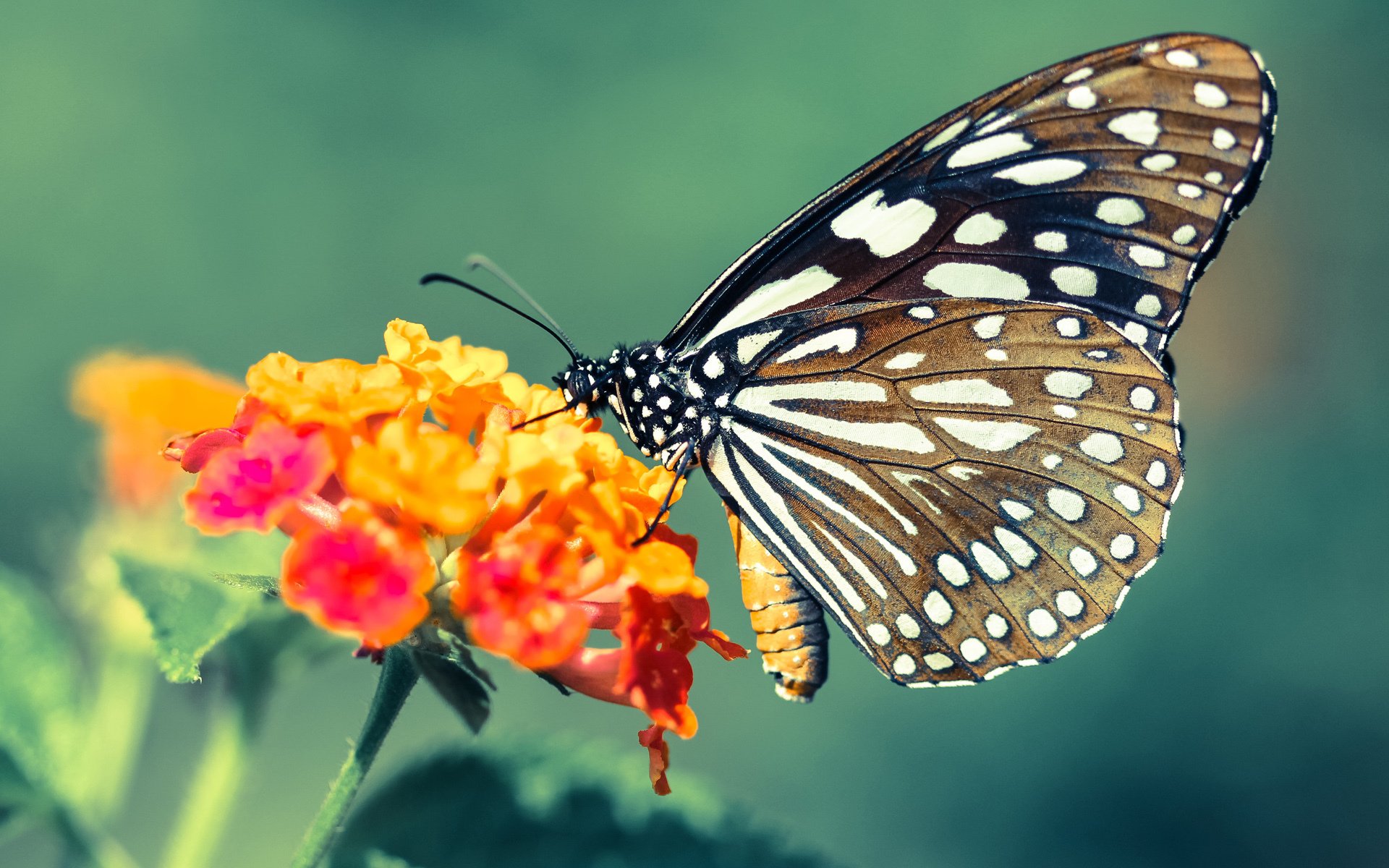 体育新闻中心发布青少年体育媒体素养指南,青少年体育素质教育