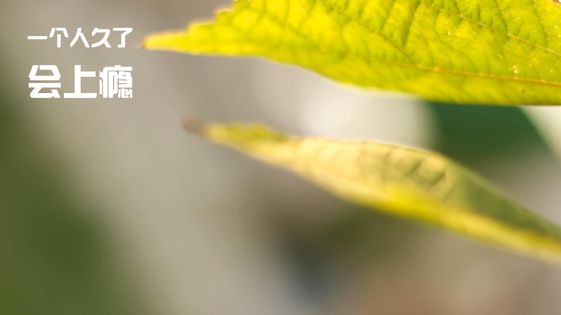 国家队缺乏技战术创新,国家队存在