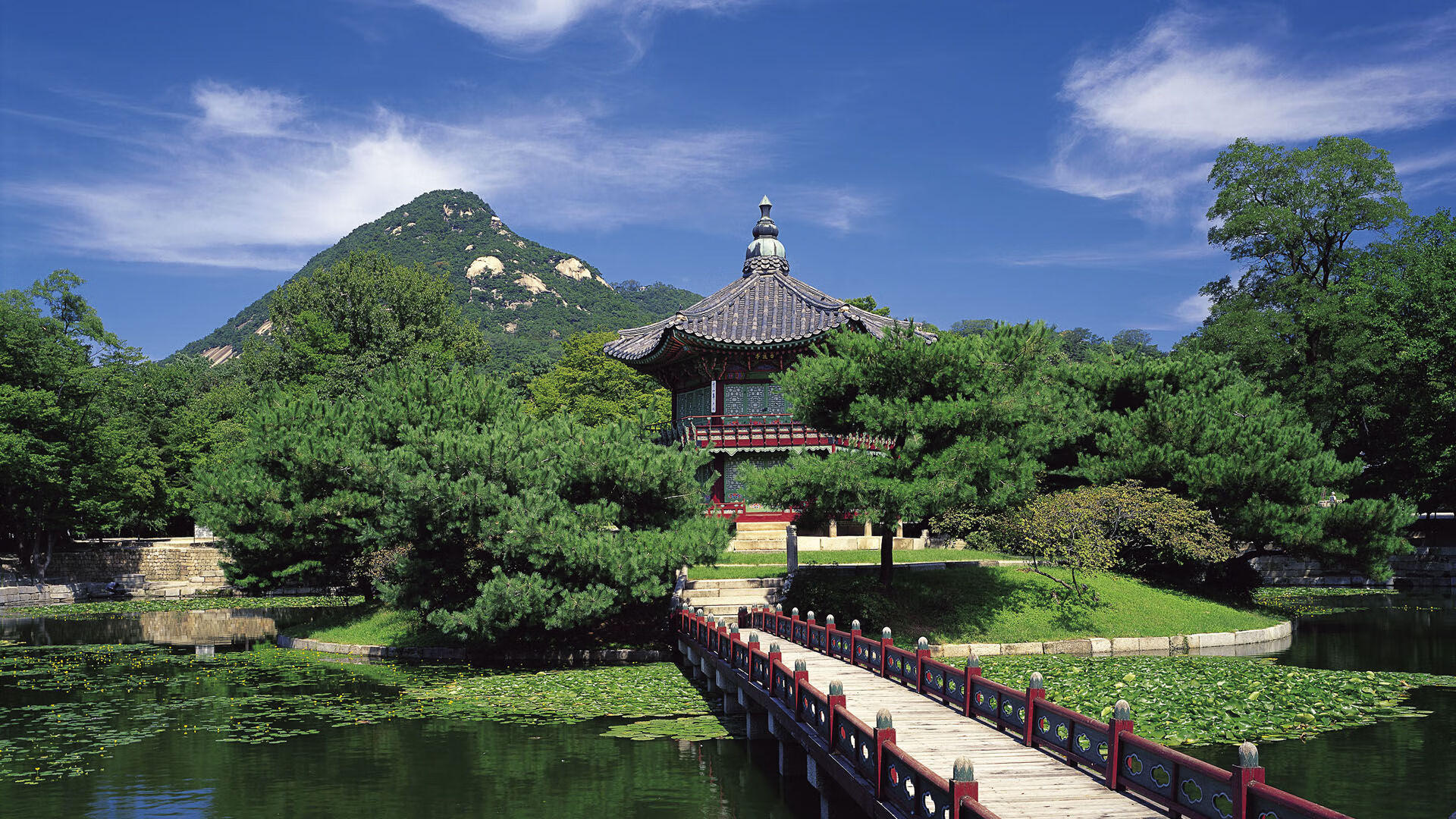 快攻终结方式的多样化发展趋势,快攻形式