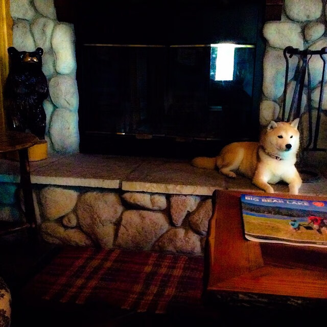 新赛季比赛用球升级改进触感与弹性,2021年比赛用球