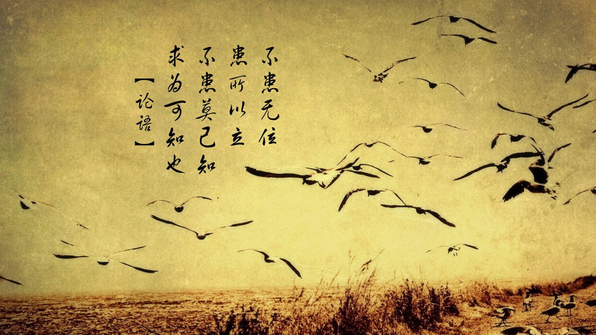 华体会app-“费尔南多·比亚尔巴：从球场明星到阿根廷橄榄球的代言人”