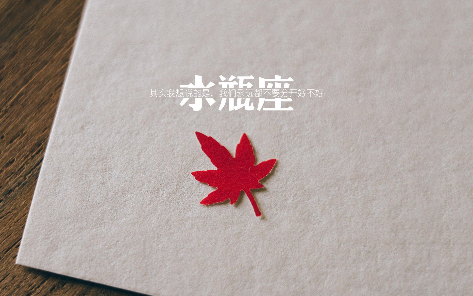 德甲弹跳夺冠：速度与力量的完美结合