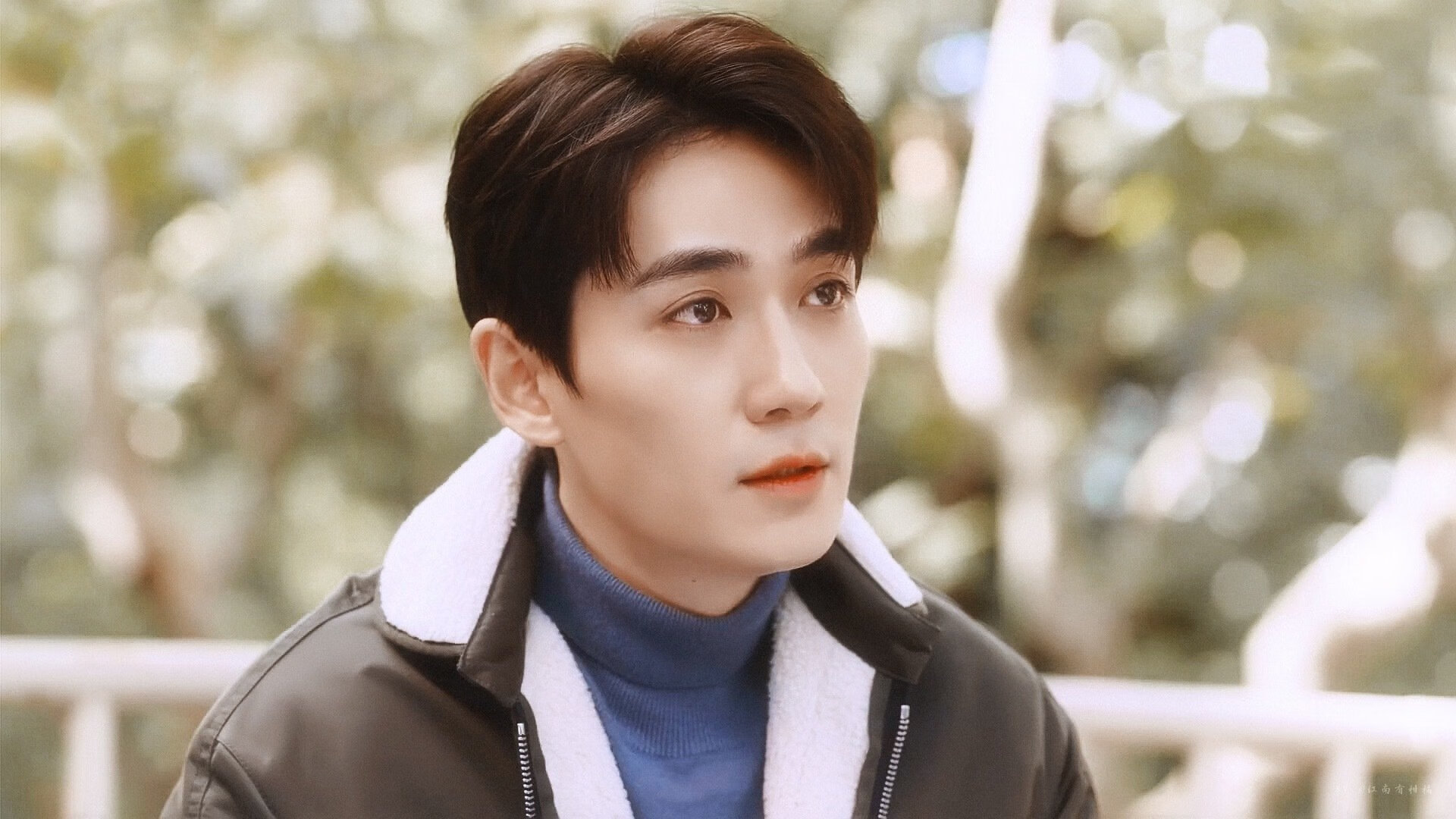 荷兰跳水老将稳定发挥引关注，荷兰选手被绊倒