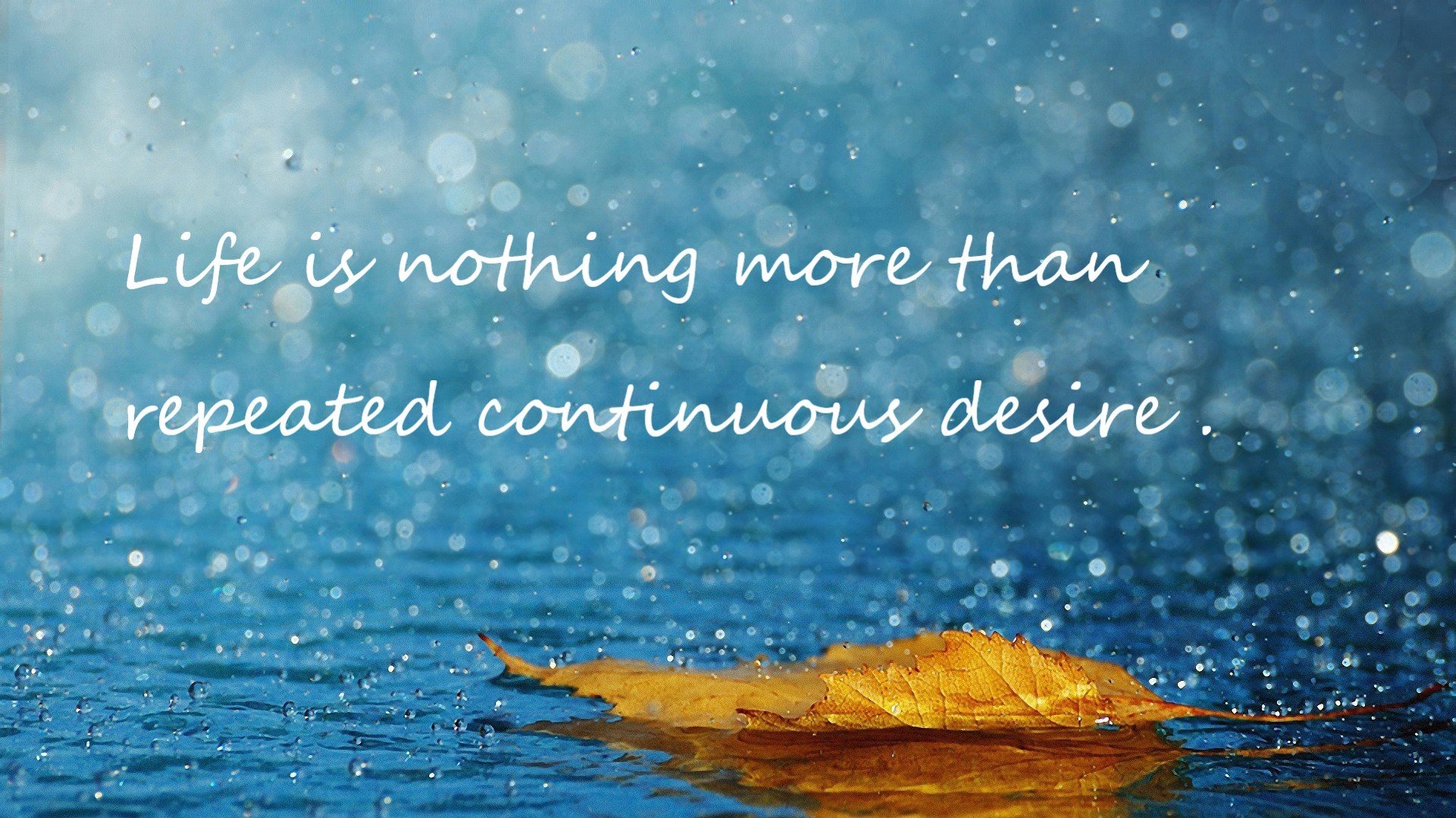 青训中心实行多教练带组模式丰富球员训练风格，青训队教练